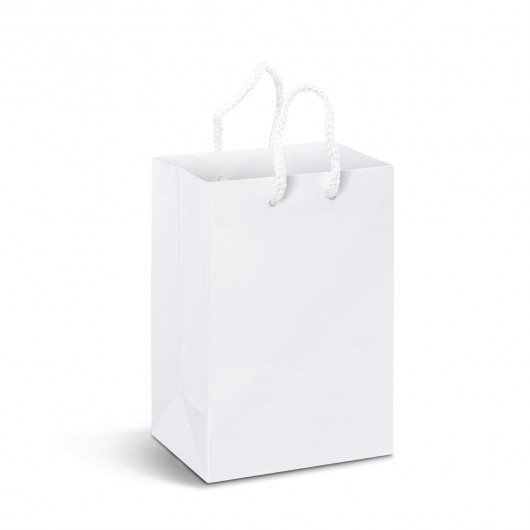 Full Colour Small Laminated Carry Bags